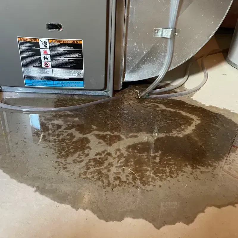 Appliance Leak Cleanup in De Baca County, NM